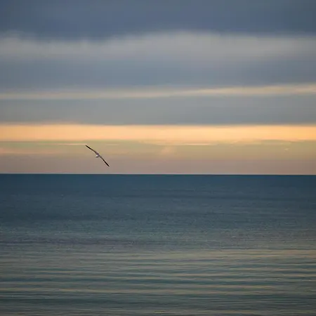 Appartamento Luxury With Sea View,free Parking!