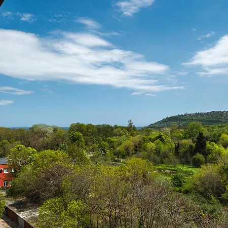 Luxury With Sea View,free Parking! *