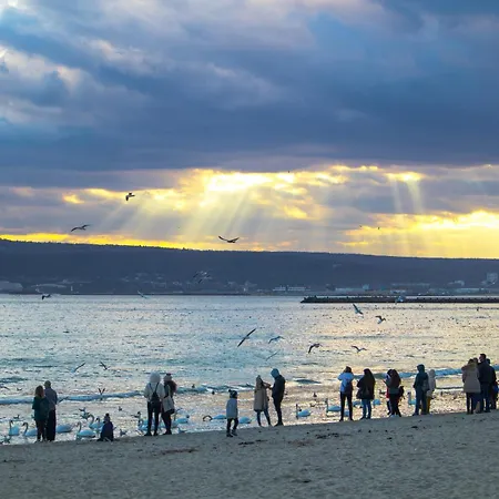 Luxury With Sea View,free Parking!