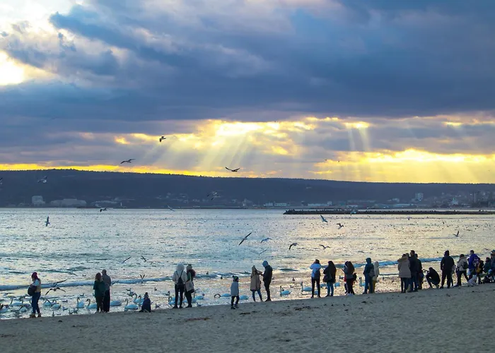 Luxury With Sea View,free Parking!