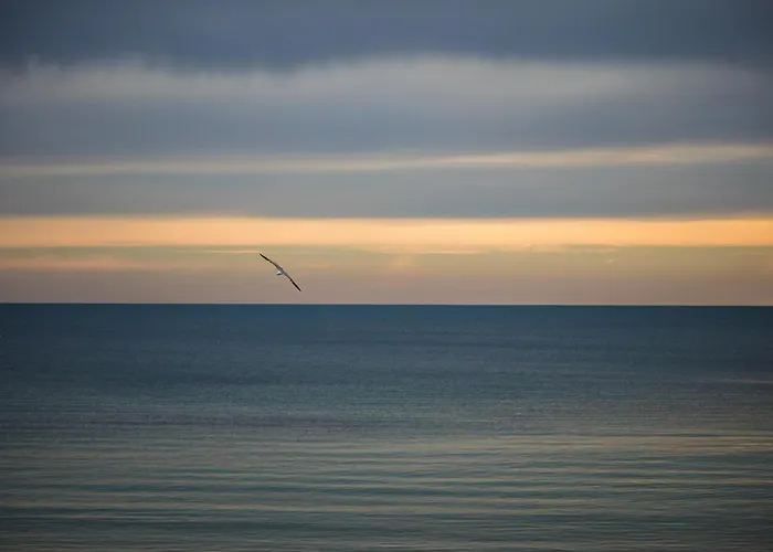 Apartment Luxury With Sea View,free Parking!